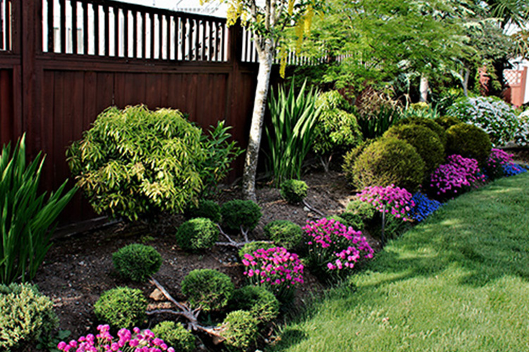 Landscaping Secrets from the Pros